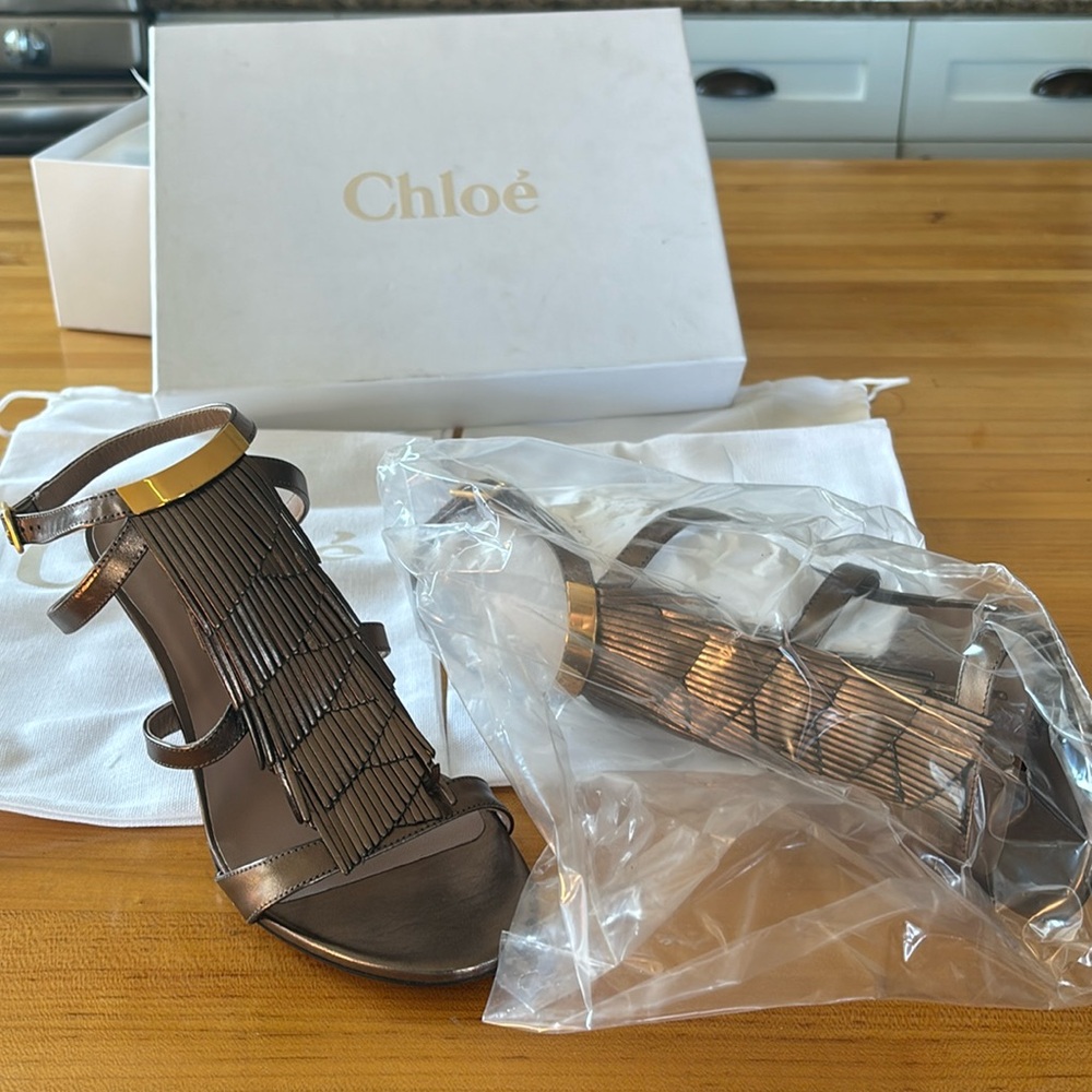 Never before worn Daniella Frindge Chloe sandals! Perfect condition.